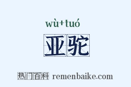 亚驼是什么意思的图片